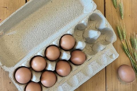 Huhtamaki North America introduces fibre-based egg cartons